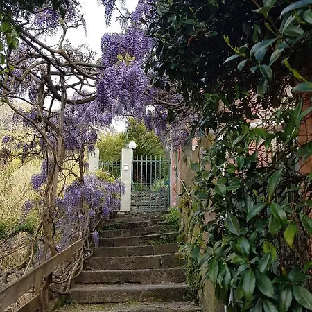 Casa Zagare Sul Mare