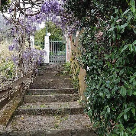 Διαμέρισμα Casa Zagare Sul Mare