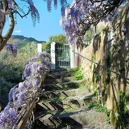 Casa Zagare Sul Mare Apartment Levanto