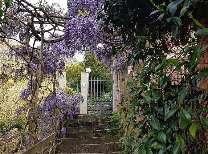 Casa Zagare Sul Mare