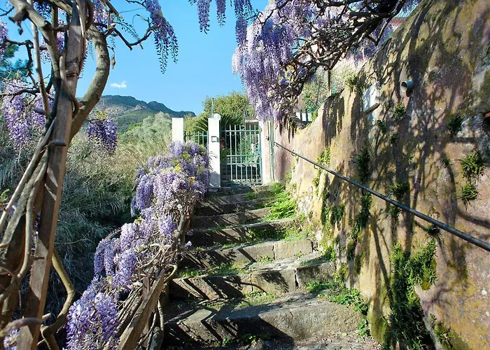 Casa Zagare Sul Mare アパート レヴァント